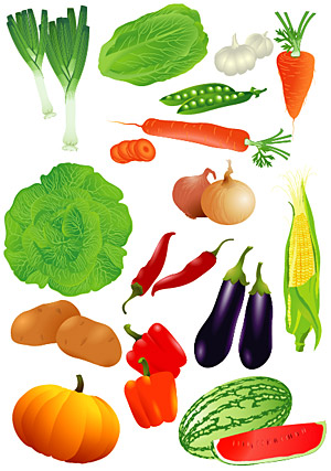 矢量植物素材 写实的蔬菜瓜果矢量素材