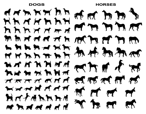 其他矢量素材 马和狗多种动作剪影矢量素材