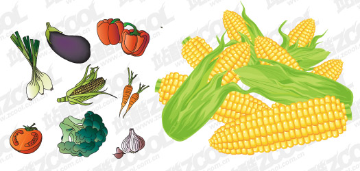 矢量植物素材 常见蔬果矢量素材
