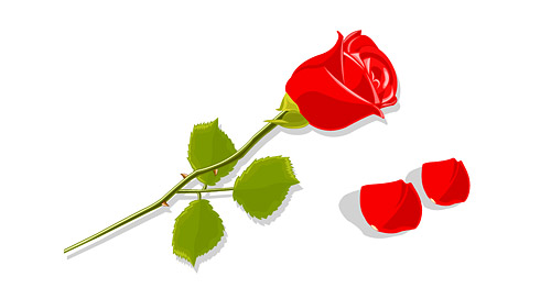 矢量花卉花边花纹 红色玫瑰花与花瓣矢量素材