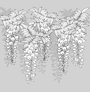 矢量植物素材 日本线描植物花卉矢量素材-12（不知名花卉）