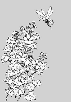 矢量植物素材 日本线描植物花卉矢量素材-15（蜜蜂与芙蓉花）