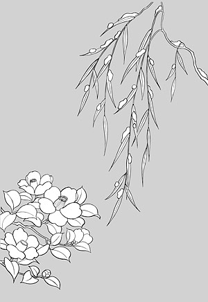 矢量植物素材 日本线描植物花卉矢量素材-16（柳树枝与椿）