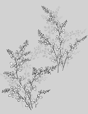矢量植物素材 日本线描植物花卉矢量素材-17（萩）