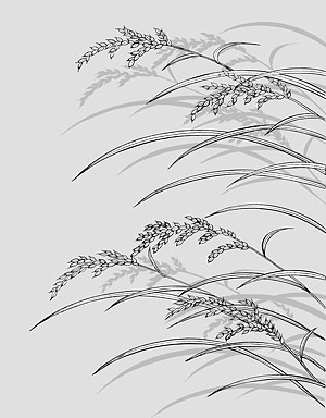 矢量植物素材 日本线描植物花卉矢量素材-23（水稻）