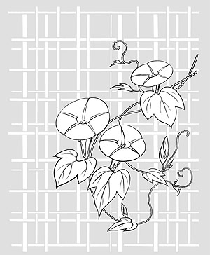 矢量植物素材 日本线描植物花卉矢量素材-26（牵牛花、格子背景）