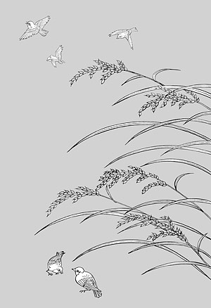 矢量植物素材 日本线描植物花卉矢量素材-33（水稻、雀鸟）