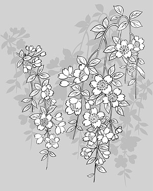 矢量植物素材 日本线描植物花卉矢量素材-43（樱花）